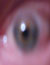 You are being Watched